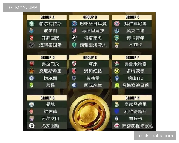 E组球队主力阵容解析 E组球队主力阵容解析